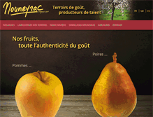 Tablet Screenshot of mouneyracfreres.com